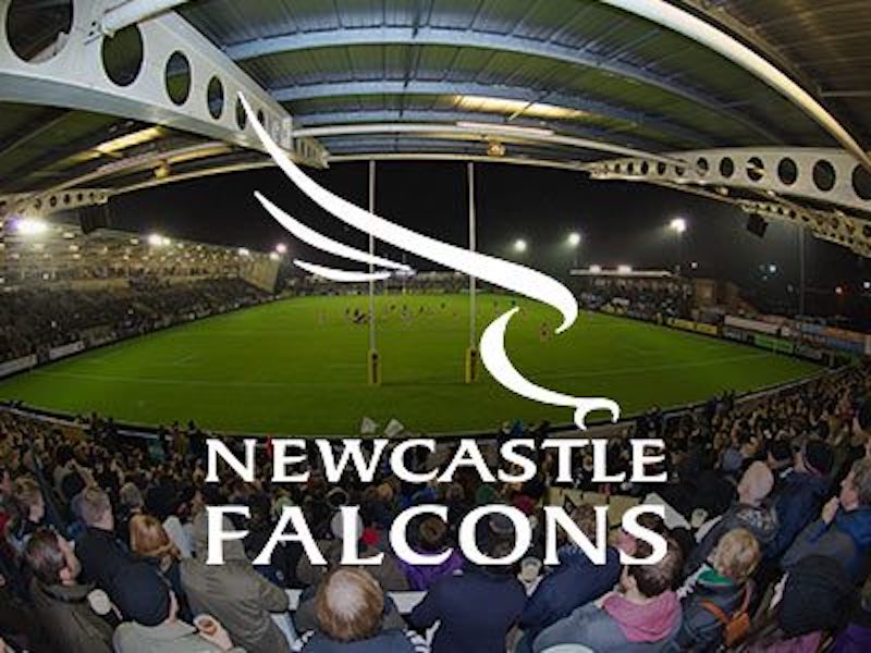 Newcastle Falcons Rugby Tickets