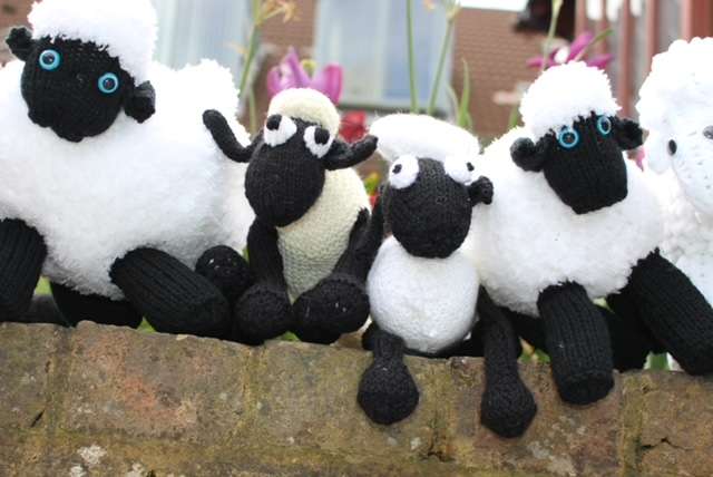 HOSPICE CALLS ON KNITTERS TO JOIN ITS FLEECY FLOCK… in Newcastle upon Tyne