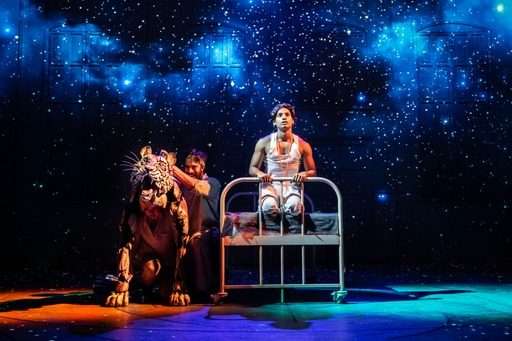 Review: Life Of Pi at Newcastle Theatre Royal review in Newcastle upon Tyne