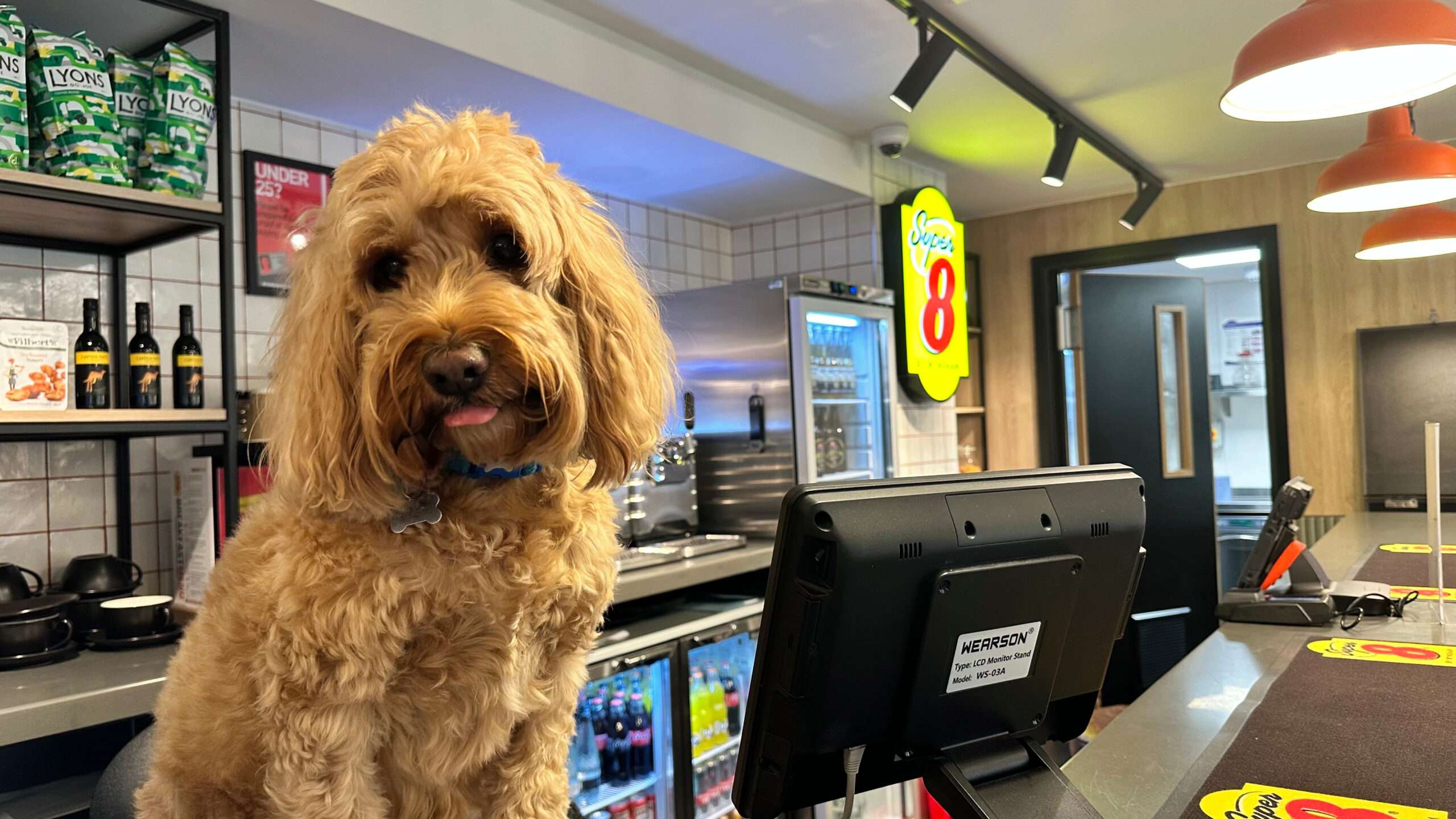 Super 8 by Wyndham searches for Head of Dog Satisfaction amid hotel opening. in Newcastle upon Tyne