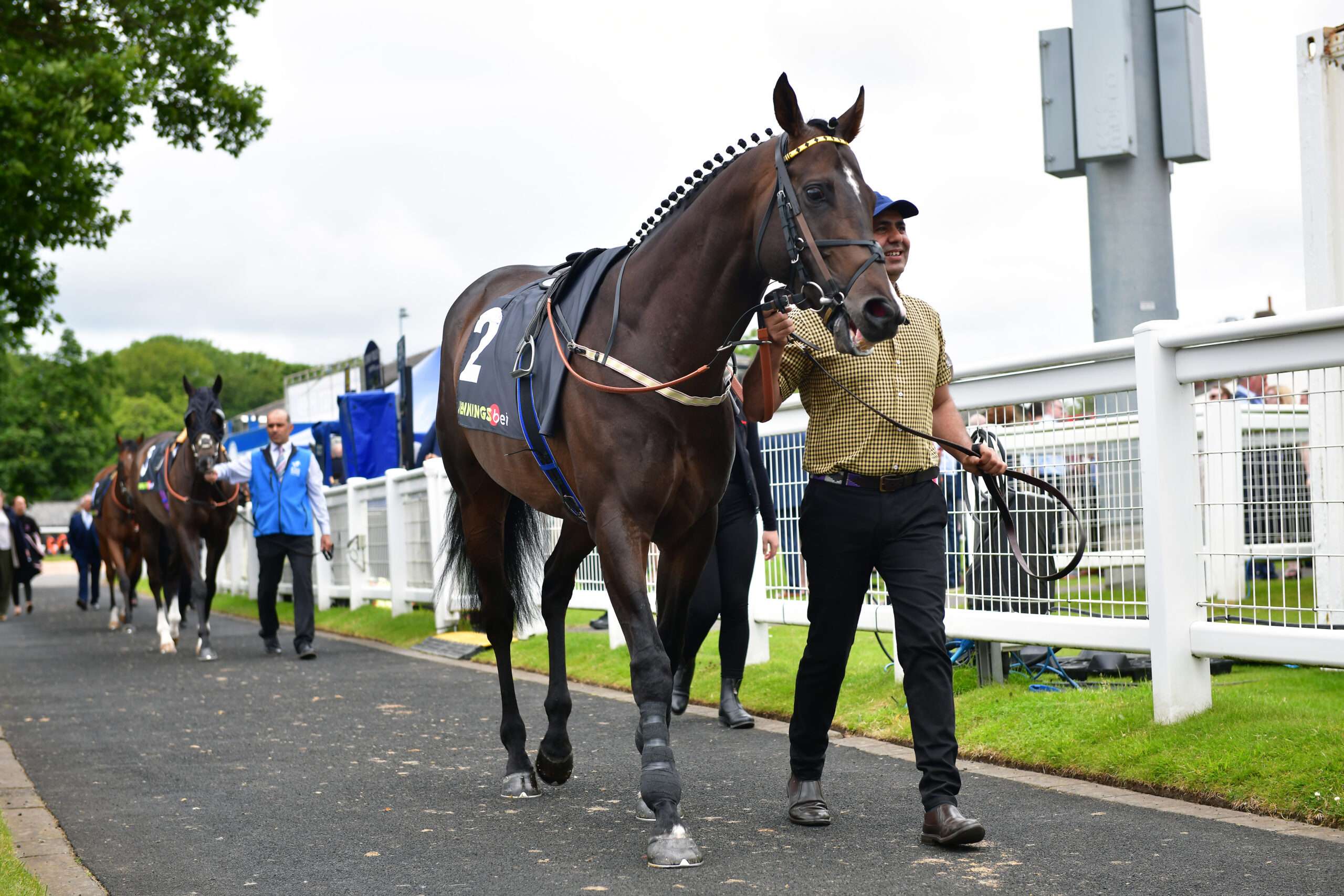 Why Newcastle has a rich history of gambling and races in Newcastle upon Tyne