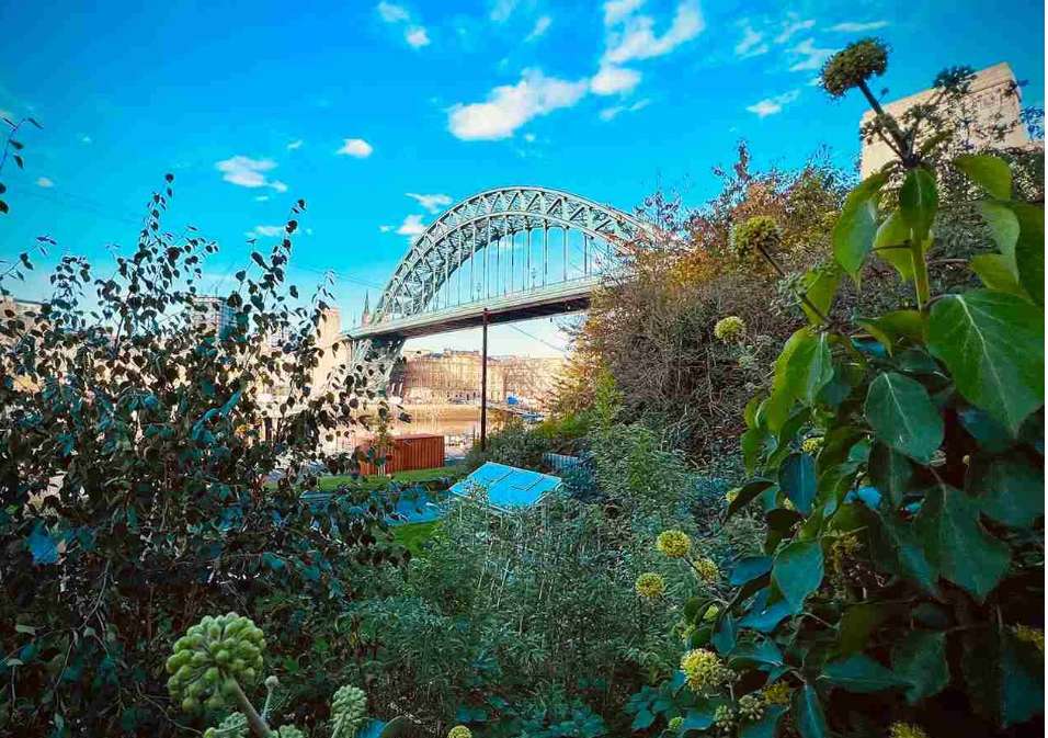 10 Things To Do in Newcastle Upon Tyne Before the Year Ends in Newcastle upon Tyne